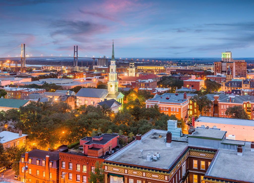 Savannah, Georgia, USA Skyline
