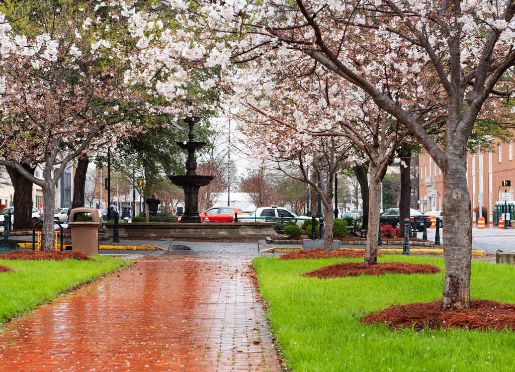 Macon, Georgia, USA Downtown Square in Spring Season