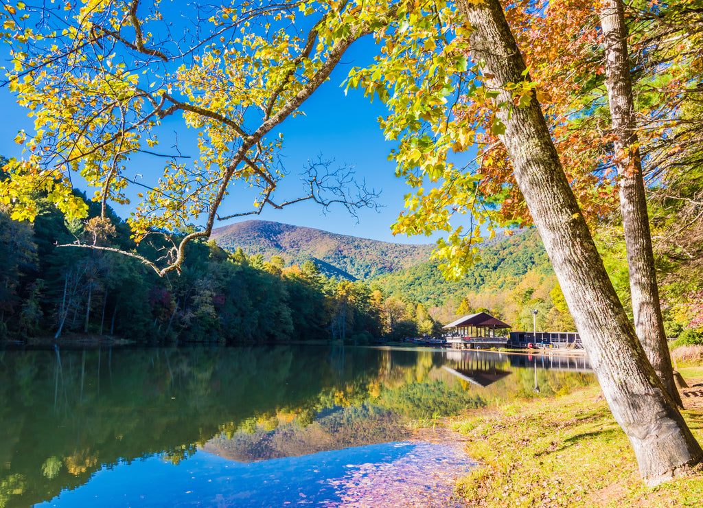 Fall in Vogel State Park, Georgia, USA