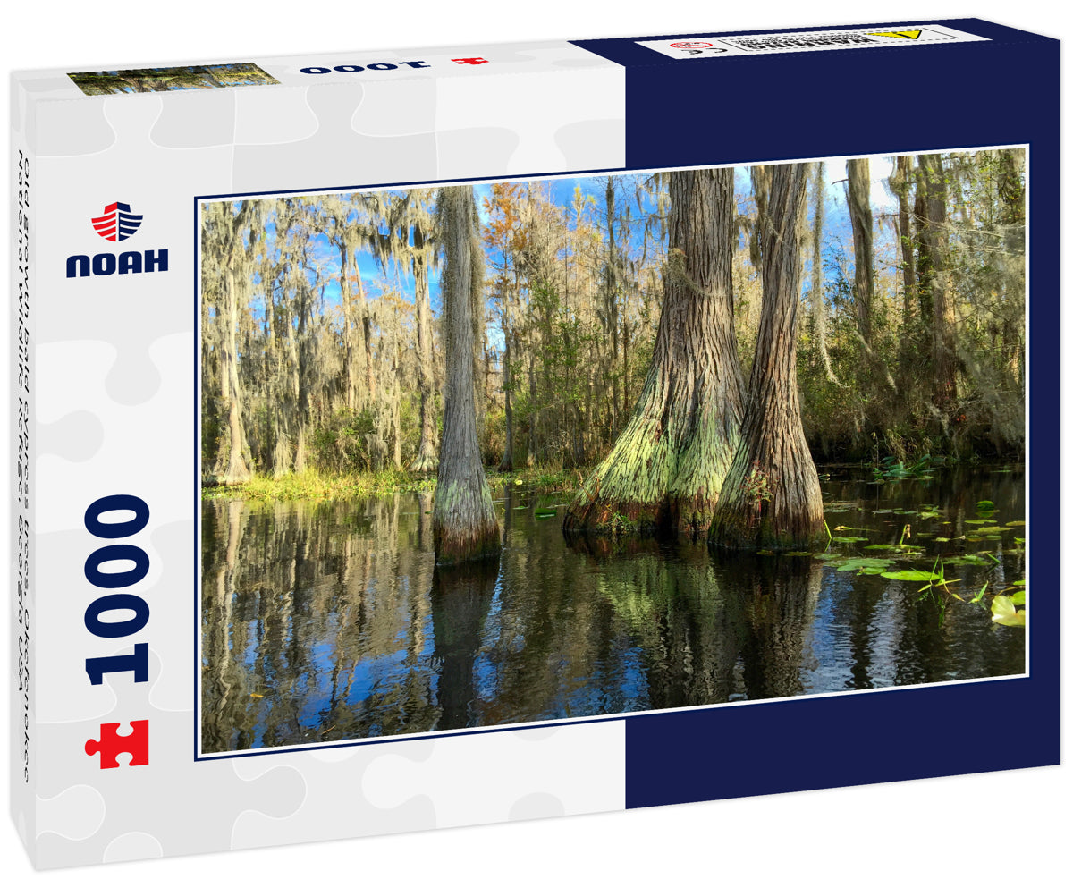 Old growth bald cypress trees, Okefenokee National Wildlife Refuge, Georgia USA