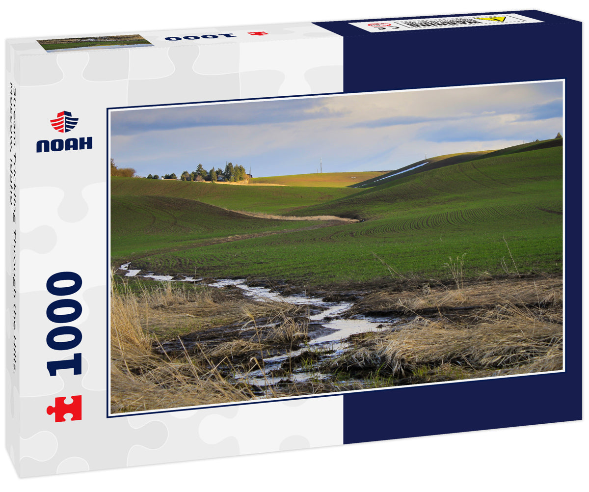 Stream Trickling Through the Hills. Moscow, Idaho
