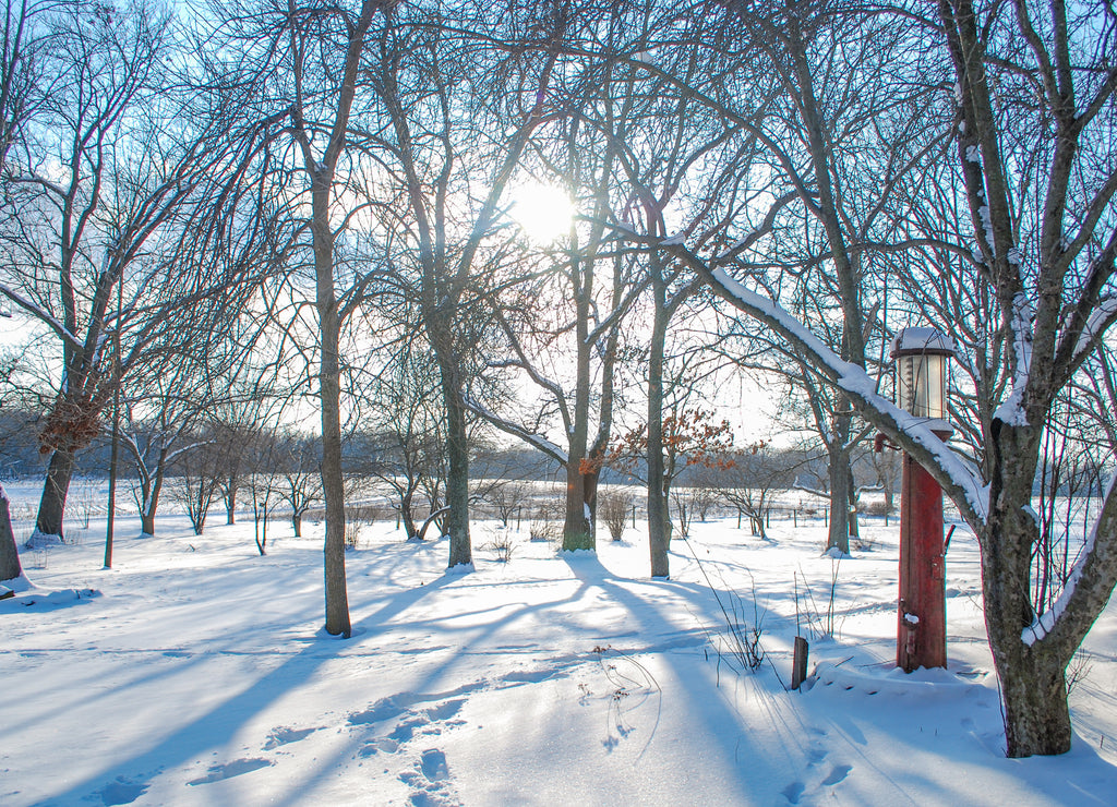 Winter snow in Havana Illinois