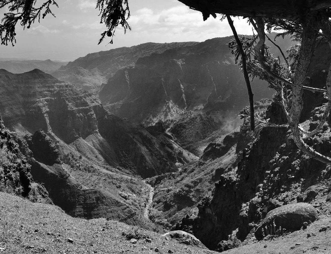 Noah Jigsaw Puzzle Monterrey City in Nuevo León, Mexico in black white 1000 pieces