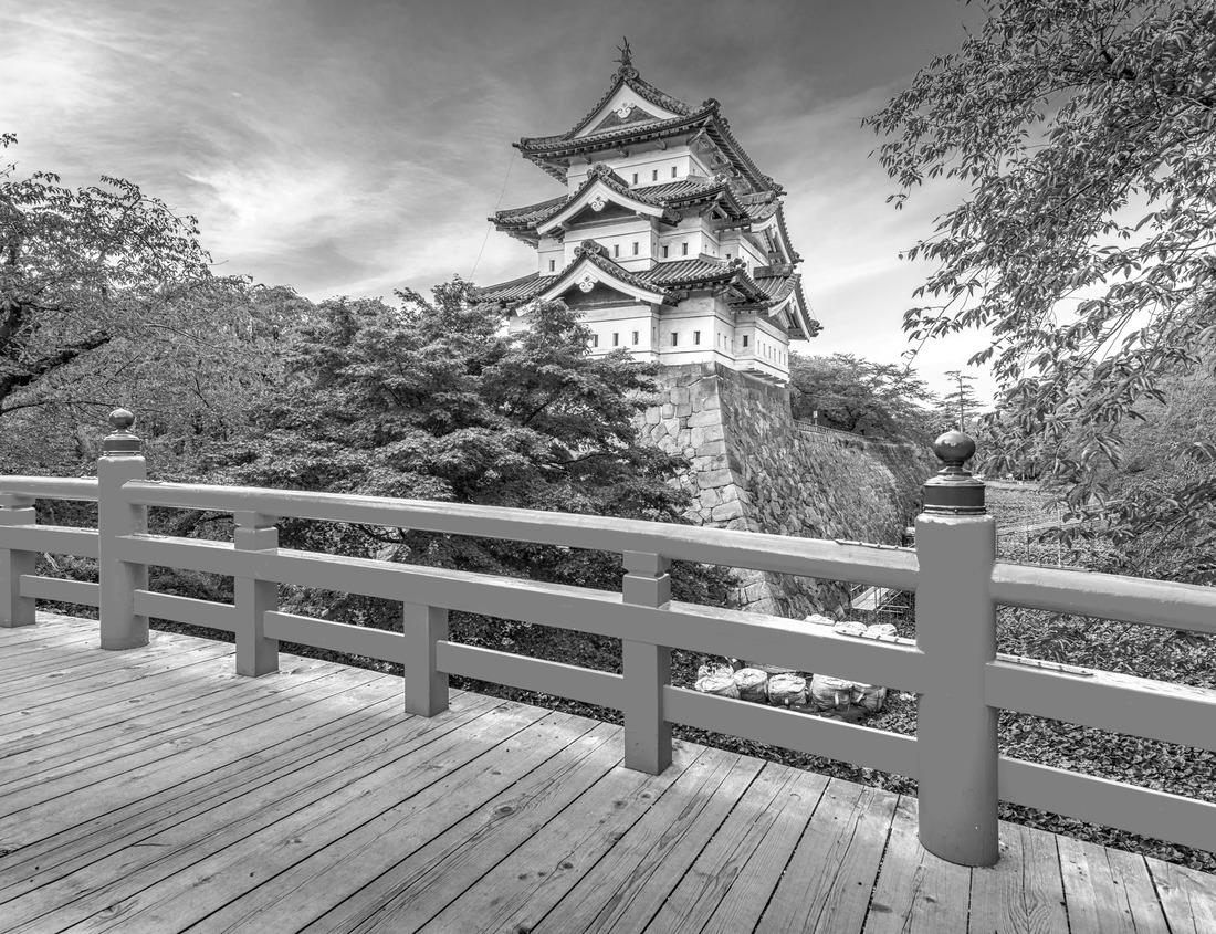 Noah Jigsaw Puzzle Dick's Creek Falls, near Clayton, Georgia in black white 1000 pieces