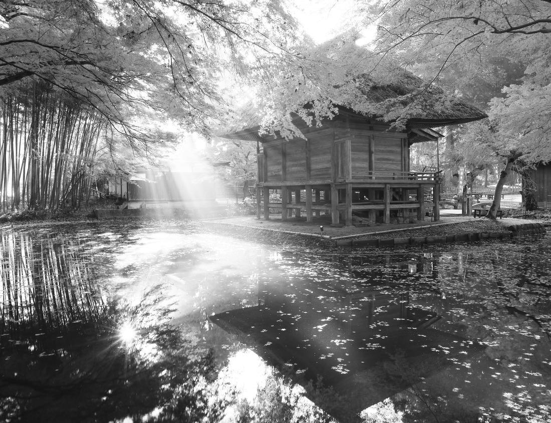 Noah Jigsaw Puzzle Beautiful landscape view of Gates of the Arctic National Park in northern Alaska in black white 1000 pieces