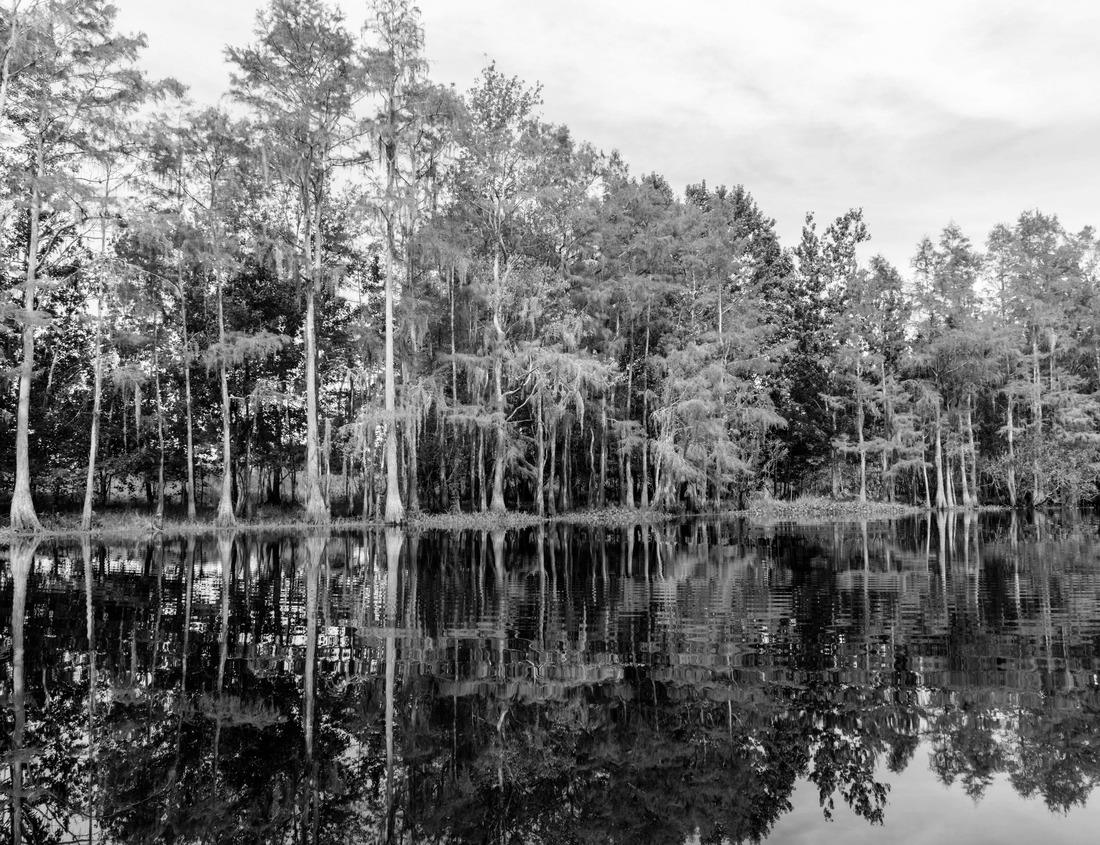 Noah Jigsaw Puzzle A long exposure waterfall flowing over rocky surfaces in Cherokee Park, Louisville, Kentucky, United States in black white 1000 pieces