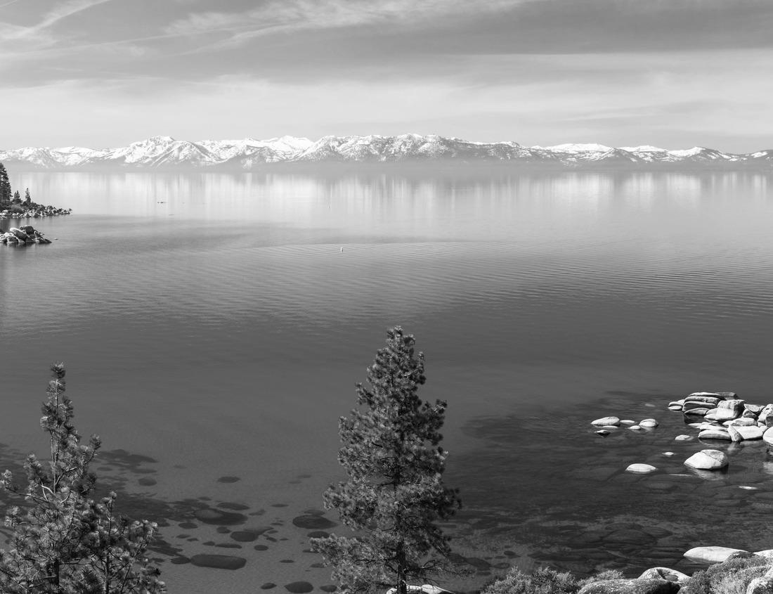 Noah Jigsaw Puzzle nice shot of double Tunisia in black white 1000 pieces