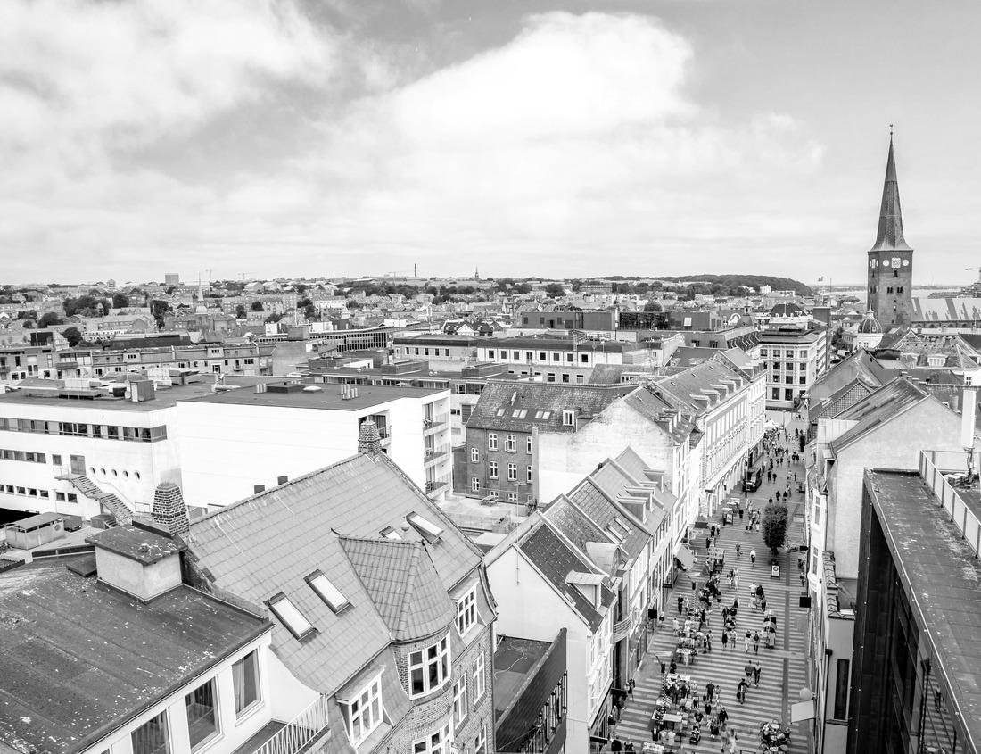 Noah Jigsaw Puzzle Chimp on the branch. Chimp in Budongo Forest Park. Safari in Uganda in black white 1000 pieces