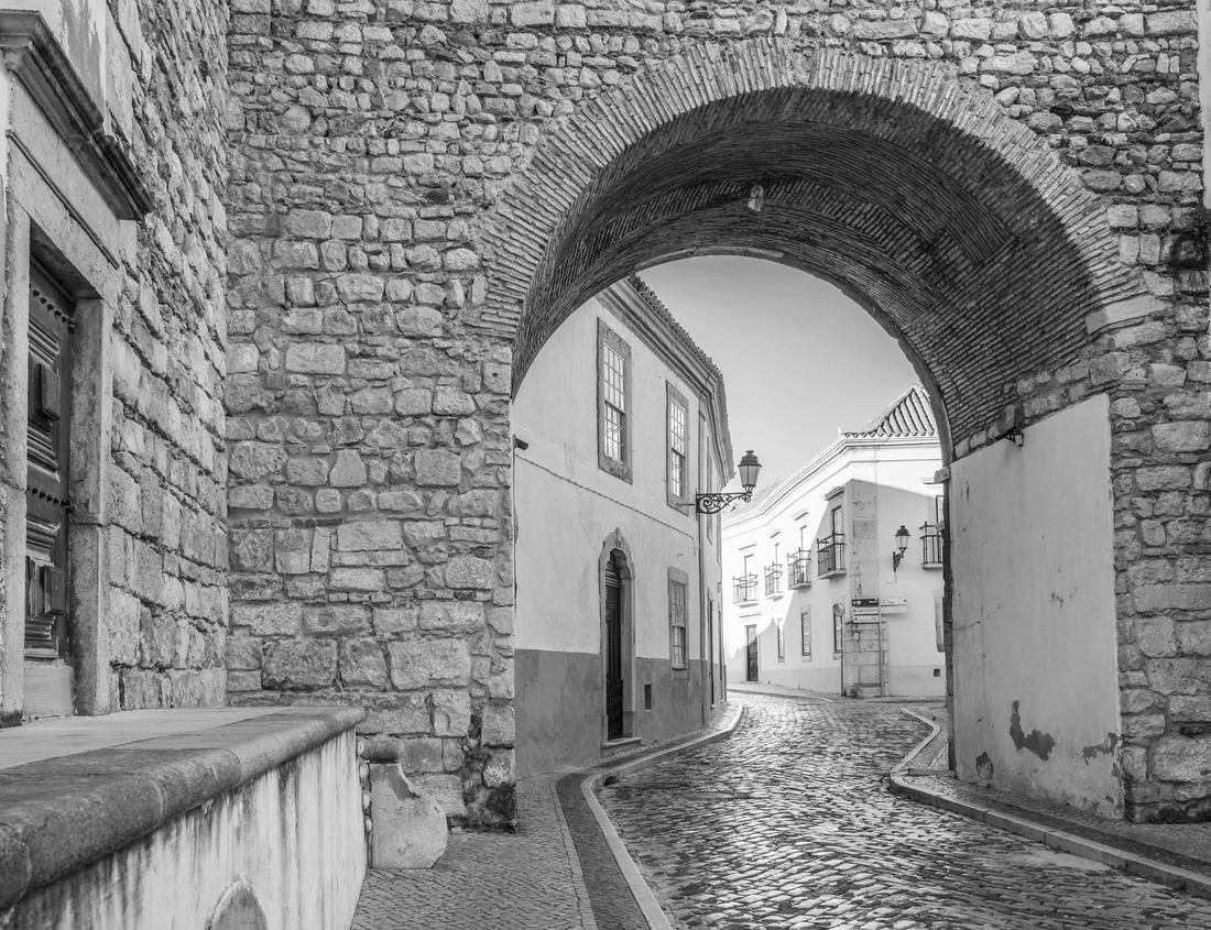 Noah Jigsaw Puzzle Adult female grizzly bear clamming, Lake Clark National Park and Preserve, Alaska in black white 1000 pieces