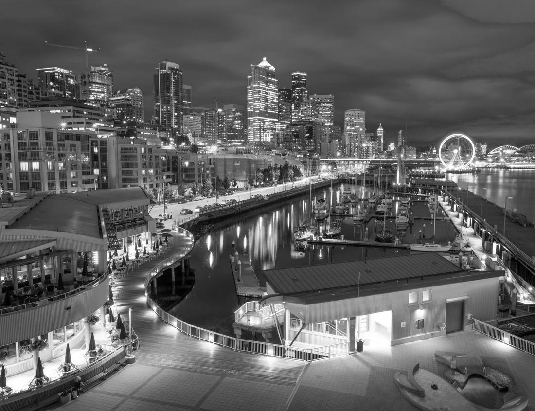 Noah Jigsaw Puzzle Lively shot of beautiful samba dancers in black white 1000 pieces