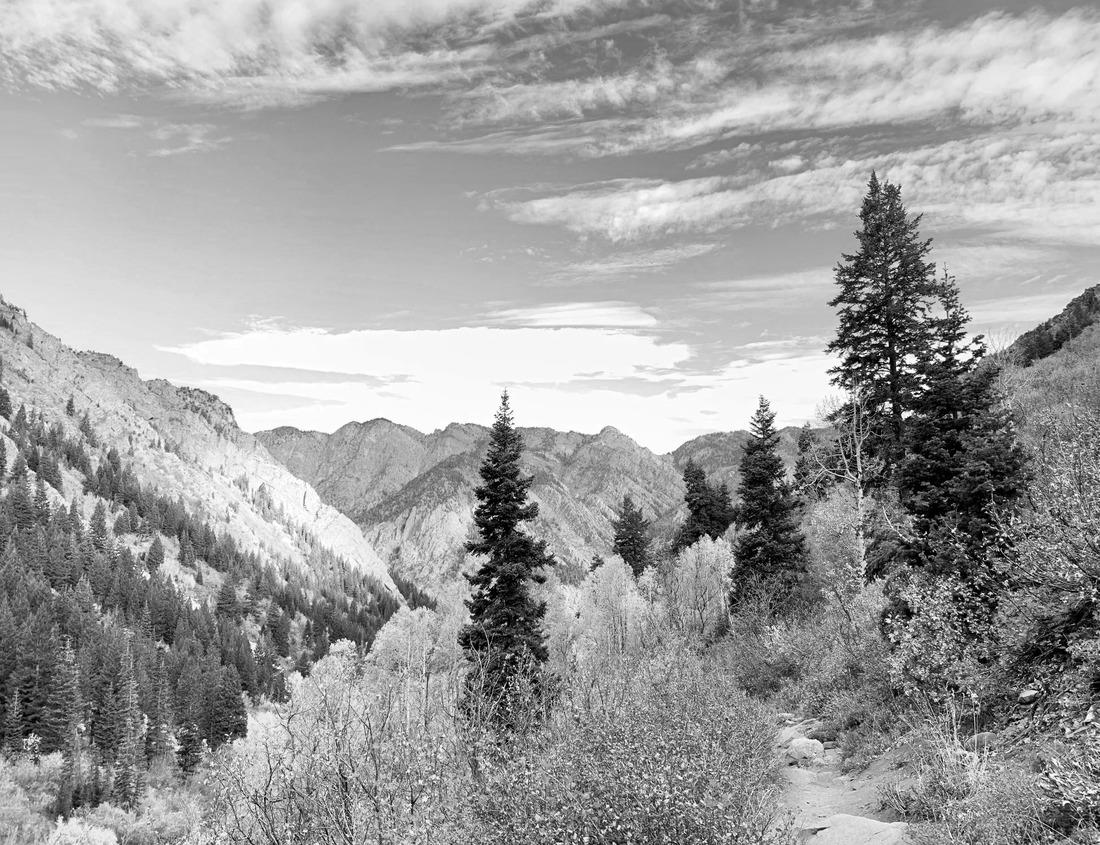 Noah Jigsaw Puzzle Amazing Autumn Sunrise In Smoky Mountain National Park. Located in the Great Smoky Mountain National Park, Oconaluftee Overlook near Newfound Gap between Gatlinburg TN and Cherokee NC in black white 1000 pieces