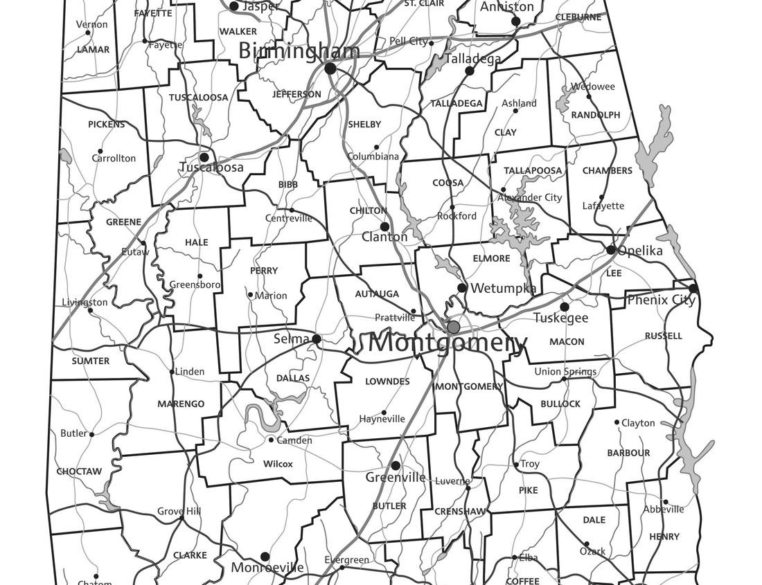 Noah Jigsaw Puzzle jelly fish in jelly fish lake in Kakaban indonesia in black white 1000 pieces