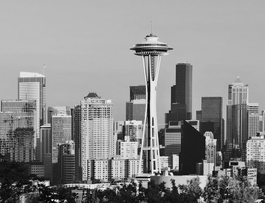 Noah Jigsaw Puzzle Green Coastline of Ireland, Europe in black white 1000 pieces