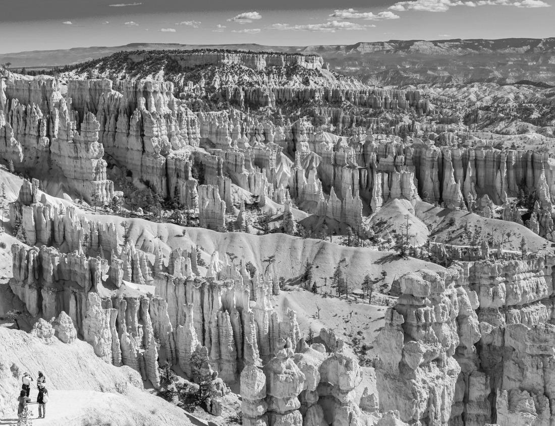 Noah Jigsaw Puzzle Impressions of Imperia, a coastal town in Liguria, Italy in black white 1000 pieces