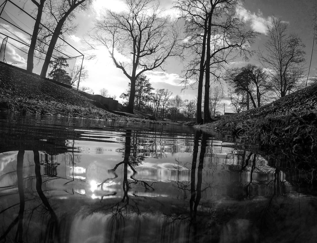 Noah Jigsaw Puzzle Rocky Mountain National Park Colorado Scenic Drive in black white 1000 pieces