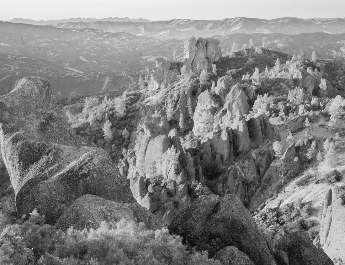 Noah Jigsaw Puzzle Indiana Dunes National Park Scenery in black white 1000 pieces