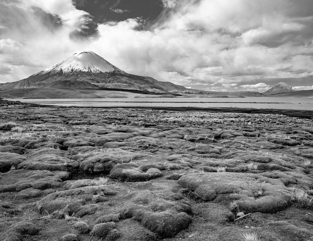 Noah Jigsaw Puzzle Morning colors Jordan Pond in Acadia National Park Maine in black white 1000 pieces