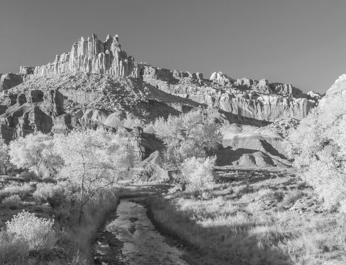 Noah Jigsaw Puzzle Cathedral Verona or cathedral in Verona, Veneto region, Italy in black white 1000 pieces