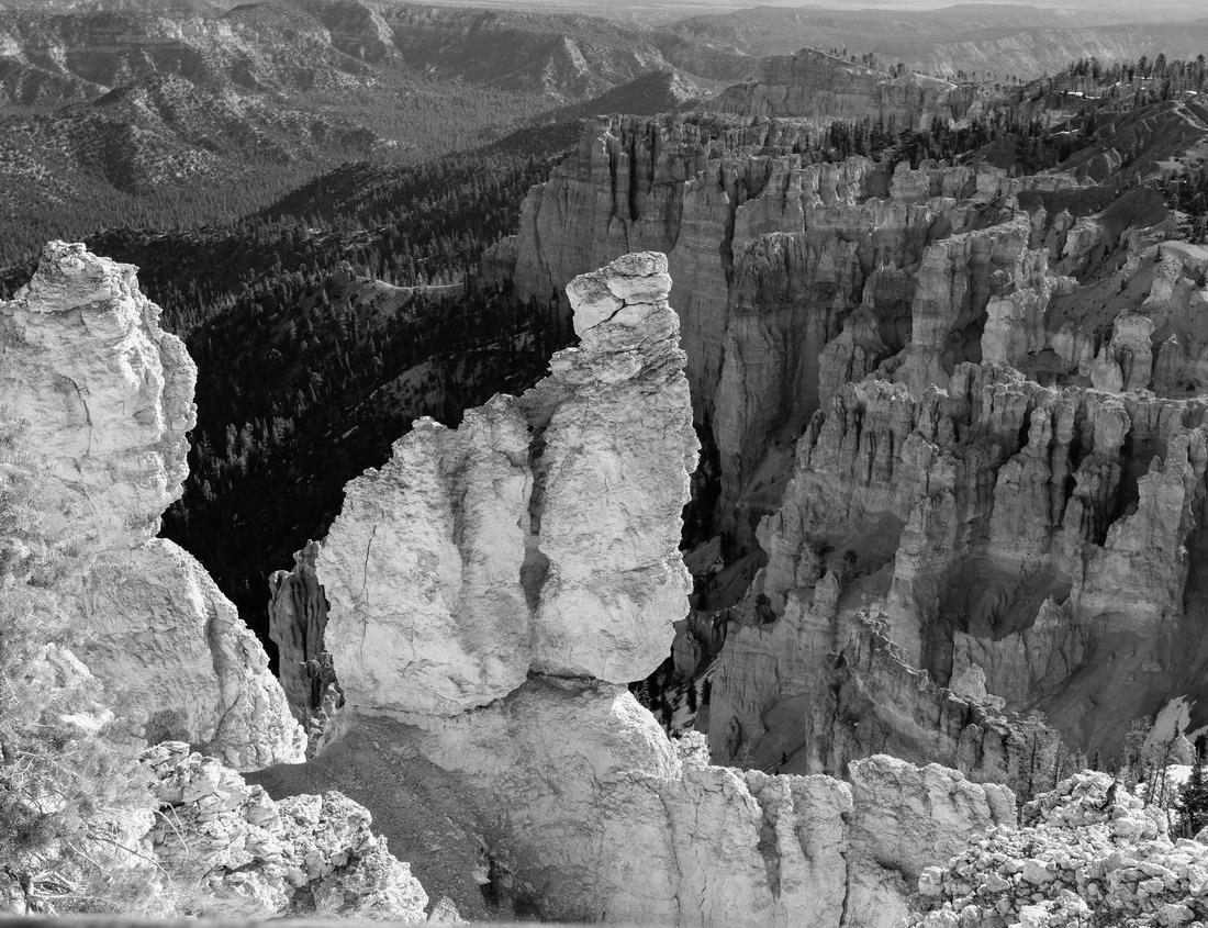 Noah Jigsaw Puzzle Miami downtown financial skyline and business shopping center near Biscayne bay and South beach in black white 1000 pieces