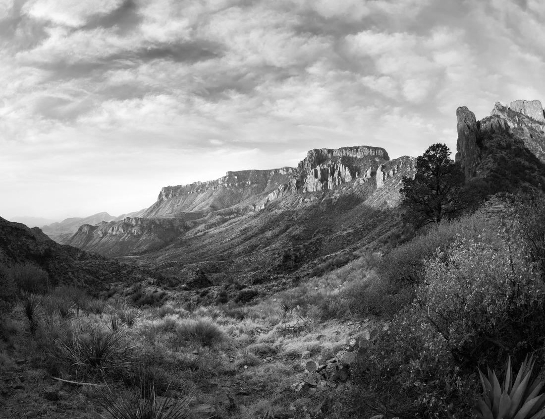 Powderham castle in Devon 1000pc PuzzleBlack and White