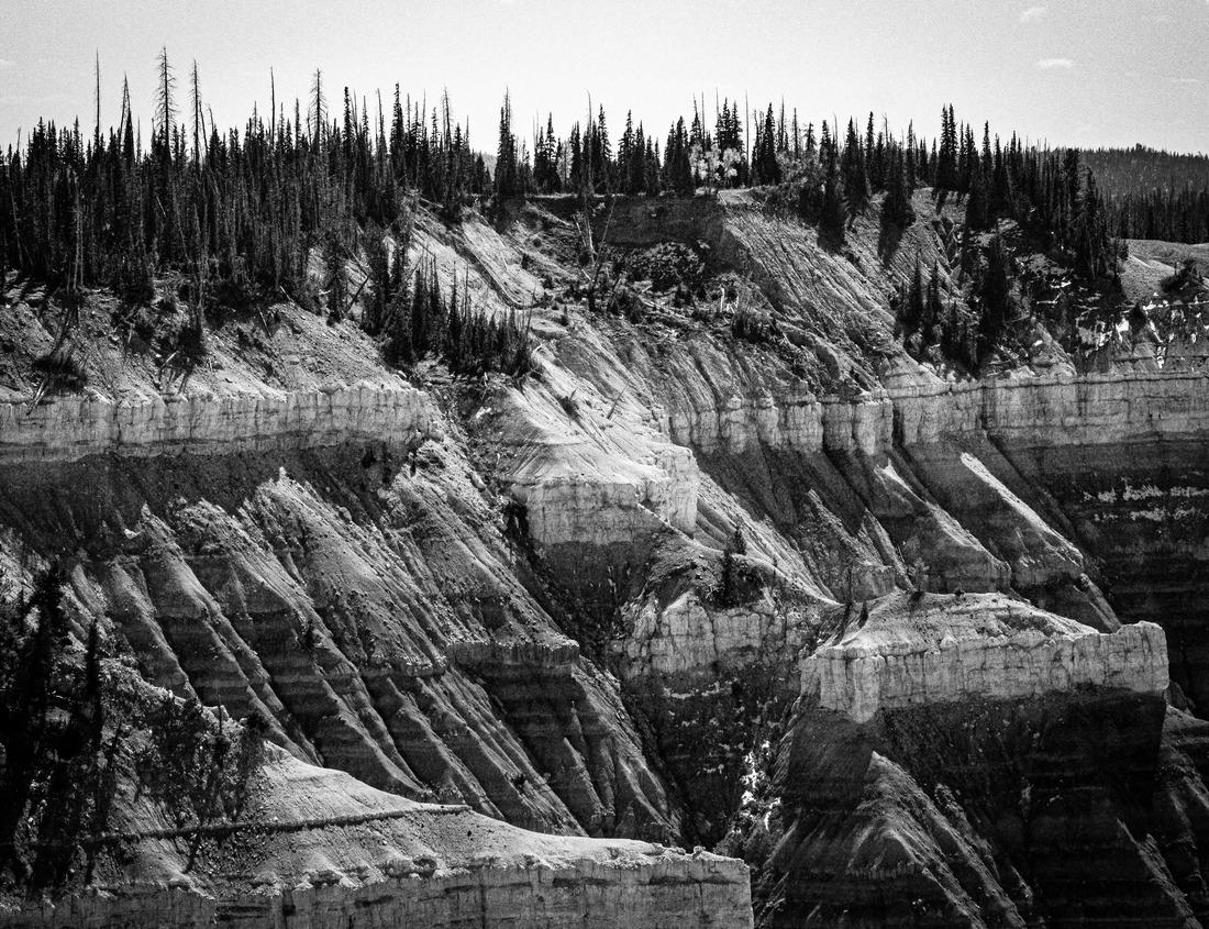 Noah Jigsaw Puzzle Kakum National Park, Ghana - homeland to many endangered mammals, the only canopy walkway on the African continent in black white 1000 pieces