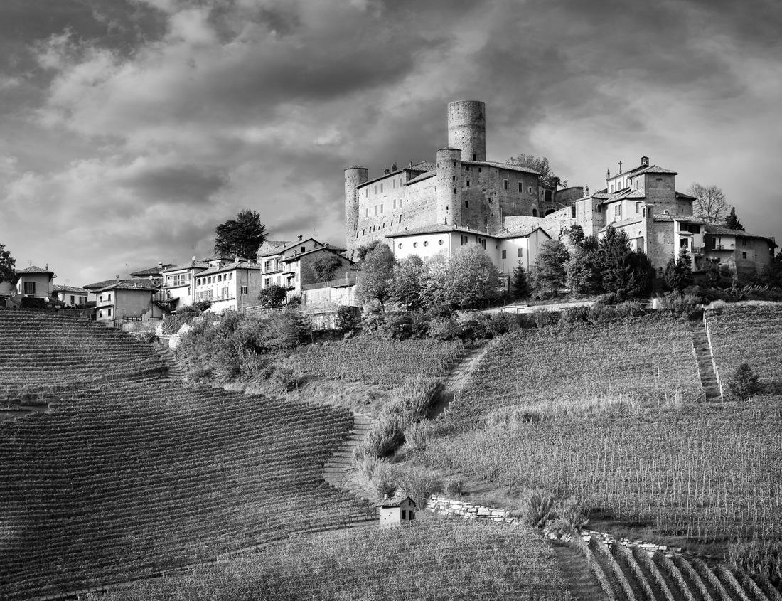 Wildflowers bloom on Shrine Pass, Vail, Colorado, USA 1000pc PuzzleBlack and White