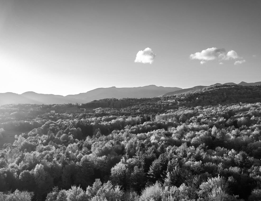 Noah Jigsaw Puzzle Sunset over Mount Arrowsmith near Parksville and Qualicum Beach on Vancouver Island in black white 1000 pieces