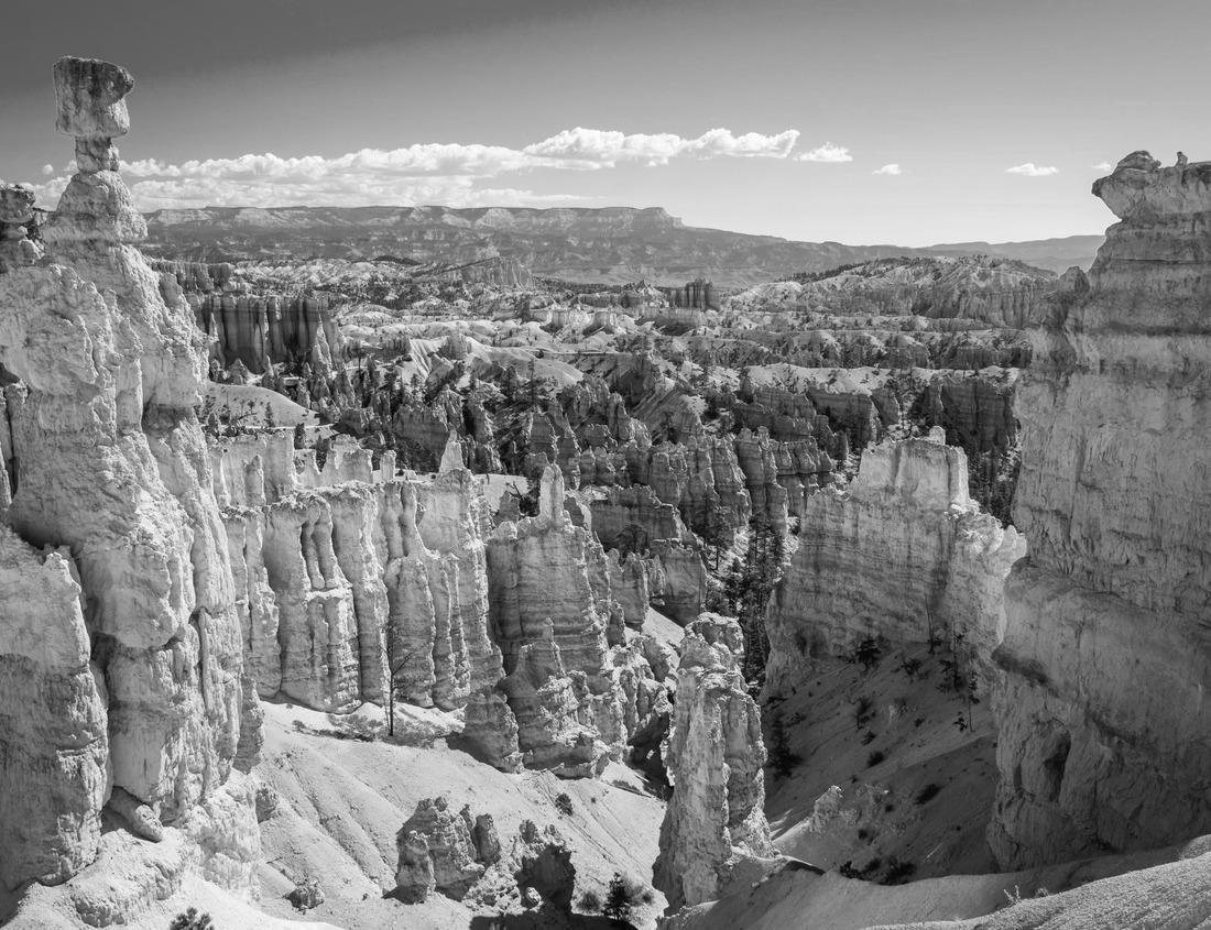 Noah Jigsaw Puzzle Evening Before Maghrib at the Sheikh Zayed Mosque, Solo in black white 1000 pieces