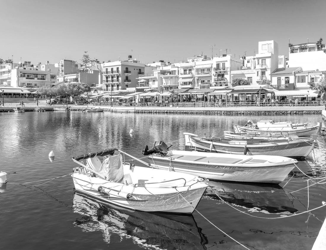 Noah Jigsaw Puzzle Traditional village houses with a baobab tree in the background in Senegal, Africa. The baobab tree is revered in Senegal, where it is the nation's symbol in black white 1000 pieces