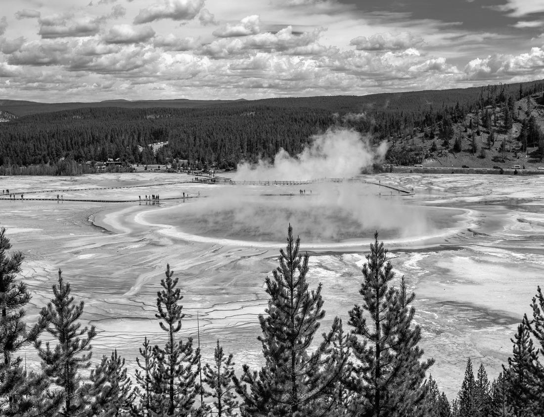 Noah Jigsaw Puzzle In Erkner near Berlin, the former “Villa Lassen” is now located in Erkner near a museum dedicated to the German poet Gerhart Hauptmann in black white 1000 pieces