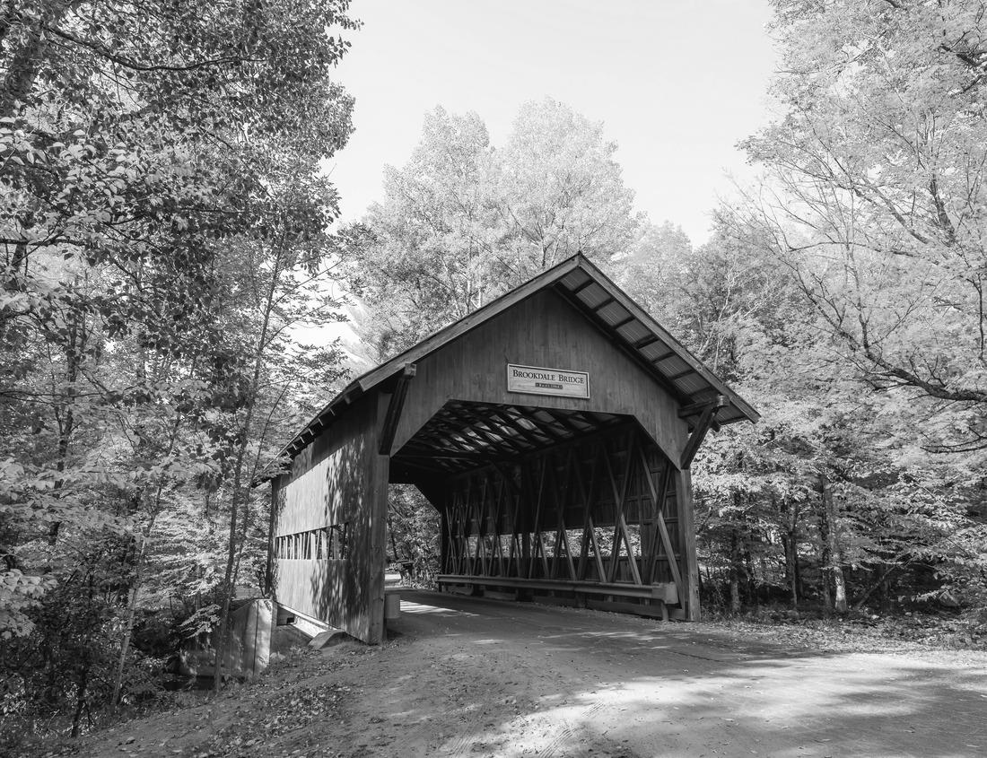 Noah Jigsaw Puzzle The 19th century castle-like Gothic Revival style Old Louisiana State Capitol, also known as the State House overlooking the Mississippi River in downtown Baton Rouge, Louisiana, USA in black white 1000 pieces