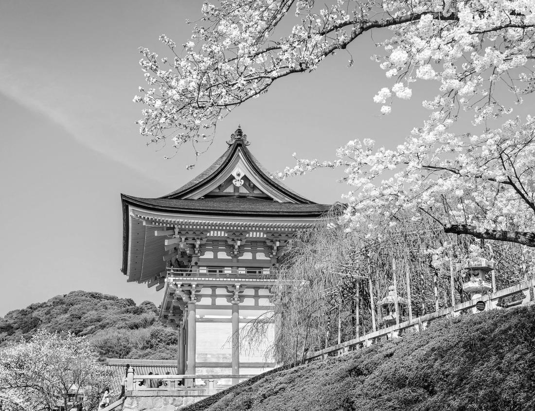 Noah Jigsaw Puzzle Old Medina of Mahdia, Tunisia in black white 1000 pieces