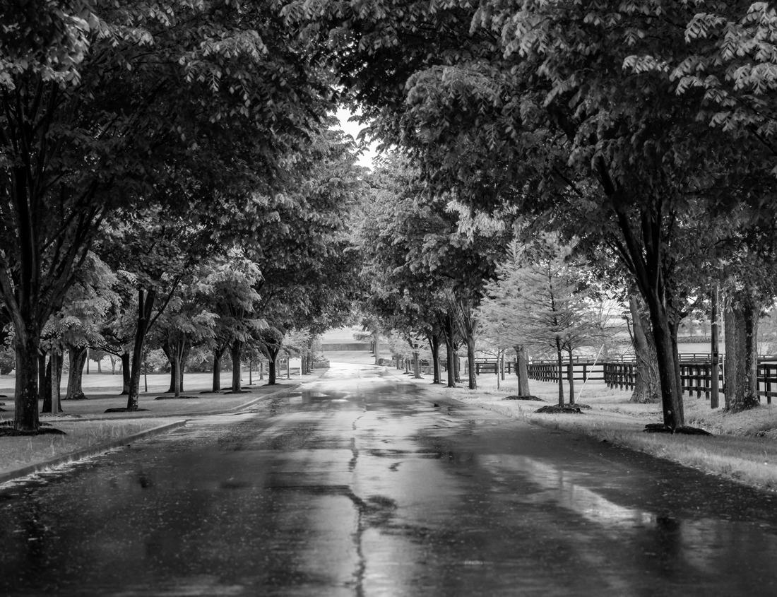 Noah Jigsaw Puzzle Esslingen am Neckar, Germany. Cityscape of the medieval town and river Neckar at sunset in black white 1000 pieces