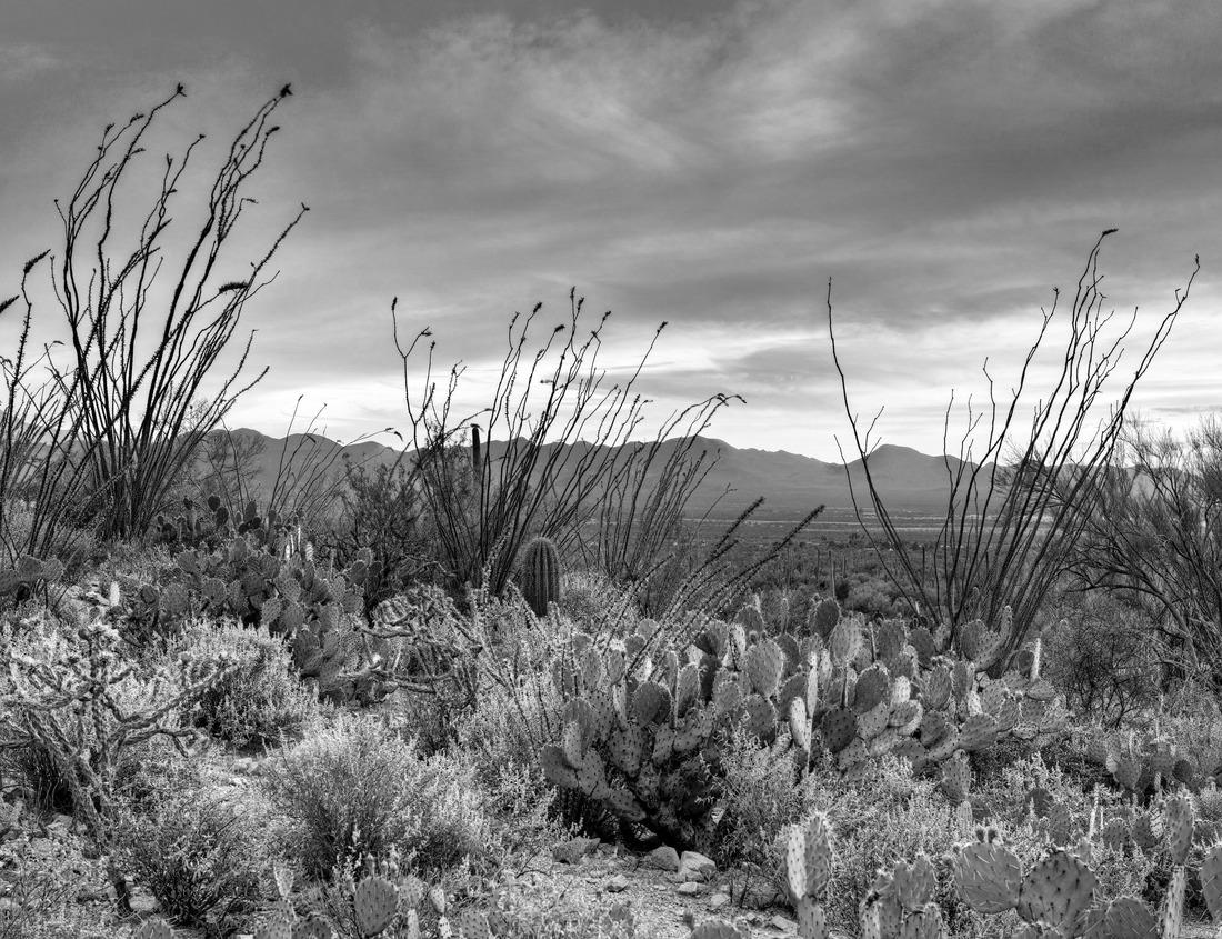 Noah Jigsaw Puzzle Historical city of Innsbruck, Austria in black white 1000 pieces