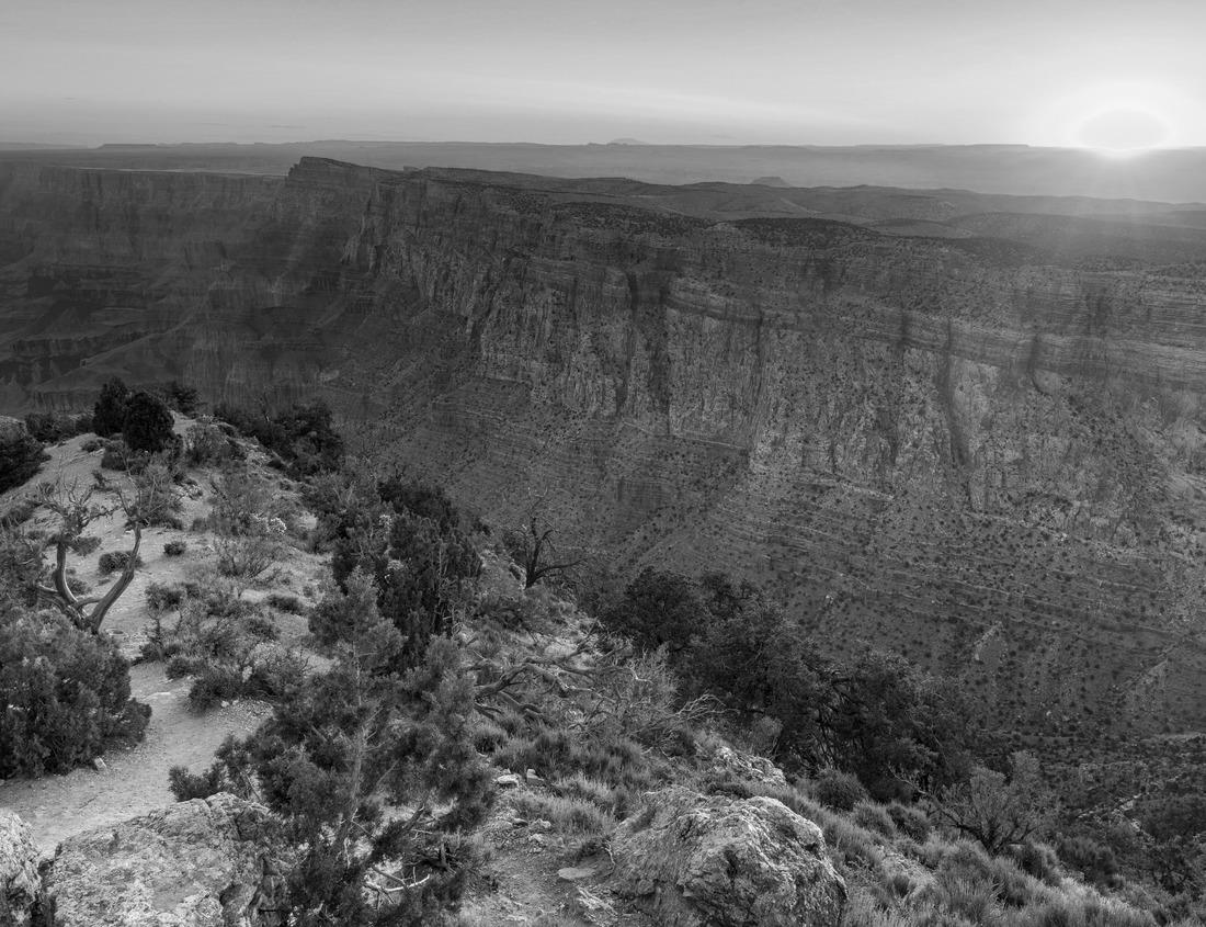 Noah Jigsaw Puzzle Vignola Castle medieval fortress Kirschstadt with its blossoms Modena in black white 1000 pieces