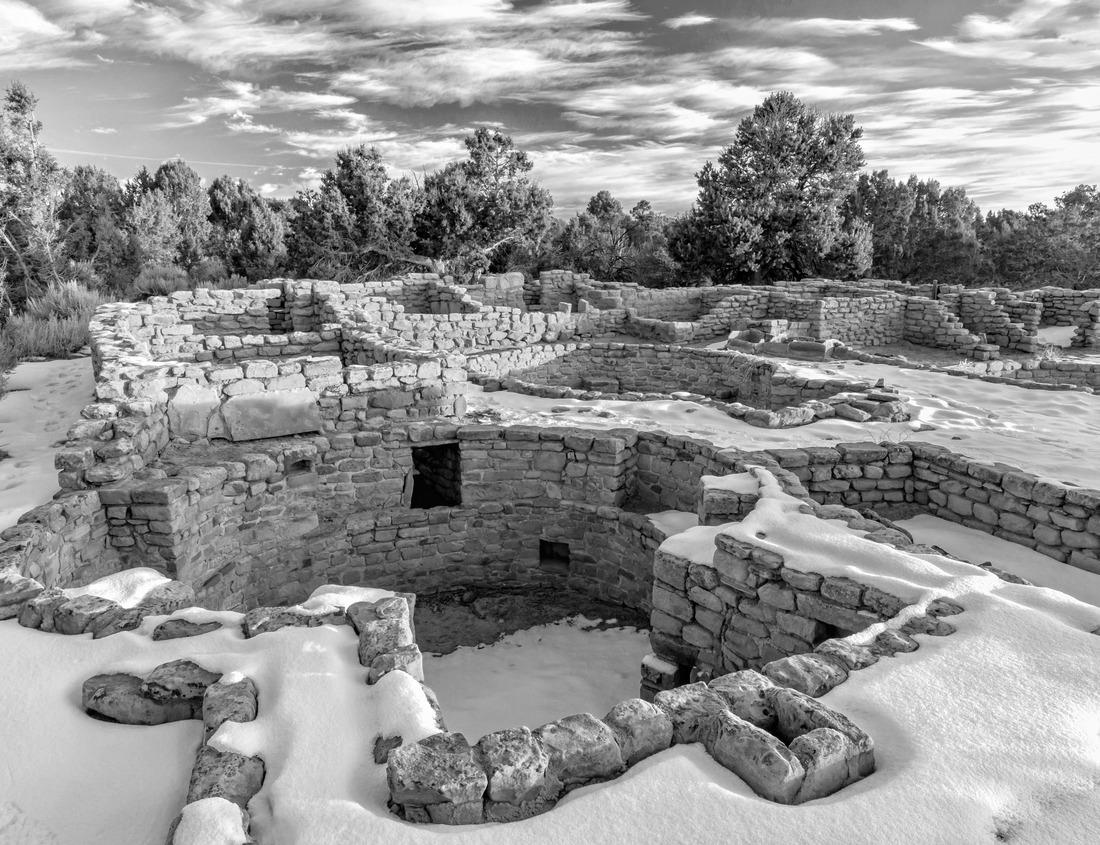 Noah Jigsaw Puzzle Close-up of a camel in the Sahara, outside Douz, Tunisia in black white 1000 pieces