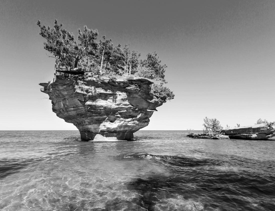 Noah Jigsaw Puzzle Trekking in Kibale National Park, Uganda in black white 1000 pieces