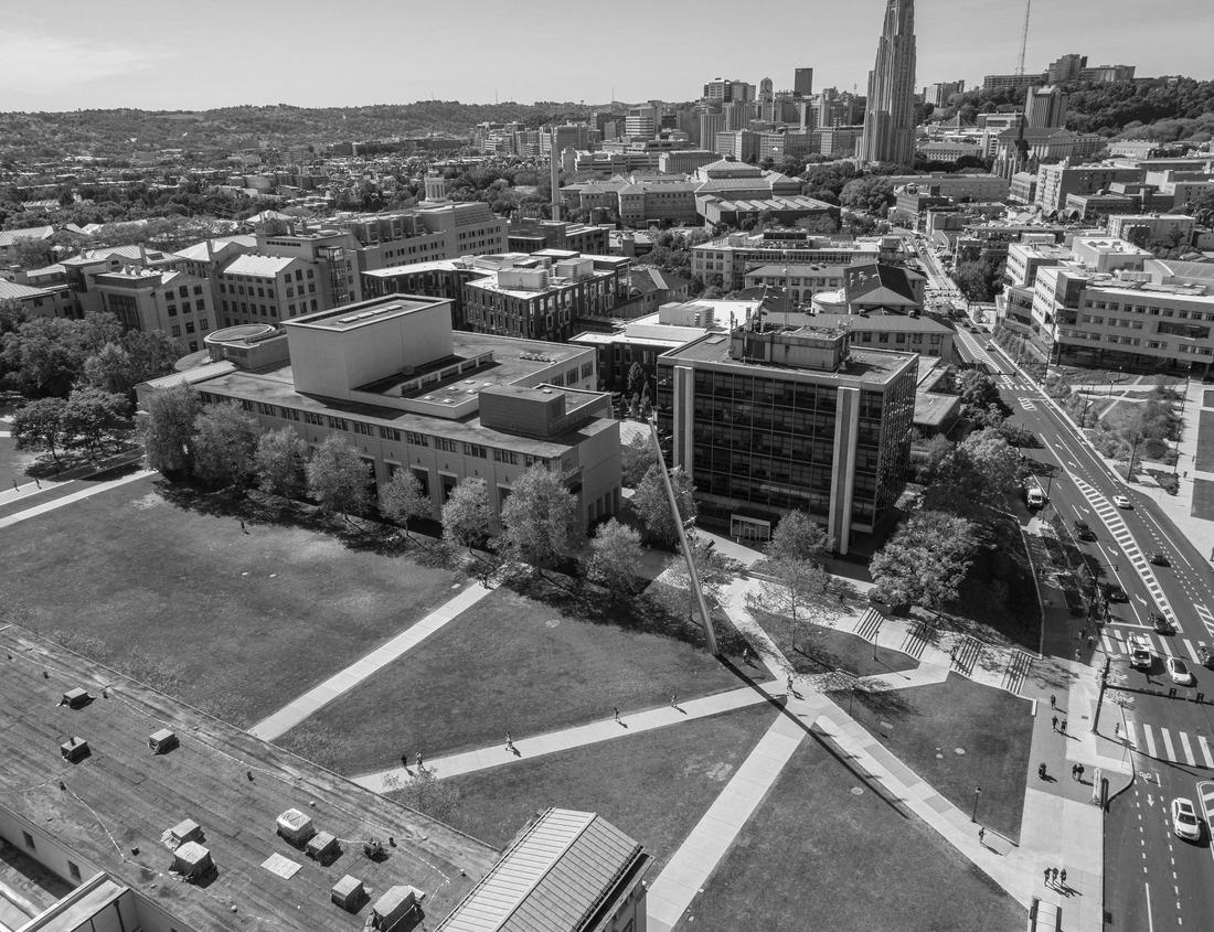Noah Jigsaw Puzzle South Carolina State House, in Columbia, SC on a sunny morning. The South Carolina State House is the building housing the government of the U.S. state of South Carolina in black white 1000 pieces