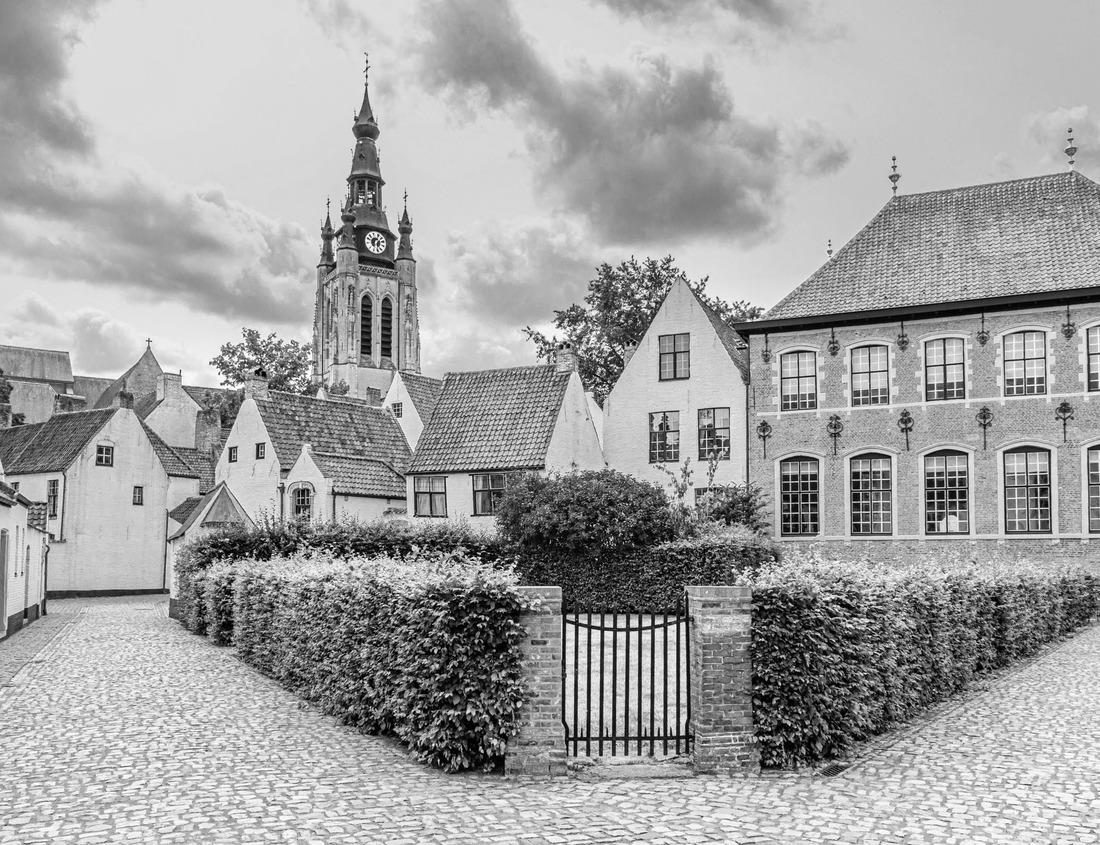 Noah Jigsaw Puzzle Wine landscape at sunset with mountains in Stellenbosch, near Cape Town, South Africa. Grapes on vineyards in the vineyard in black white 1000 pieces