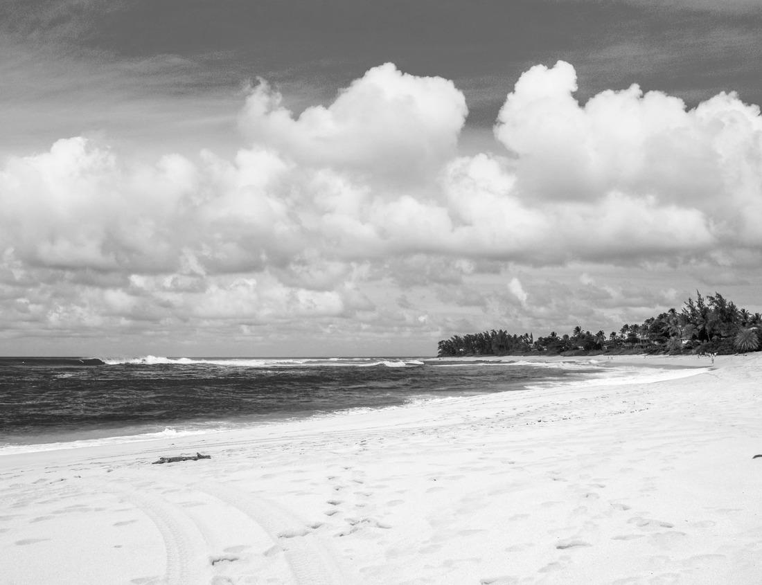 Noah Jigsaw Puzzle View of the Erasmus Bridge from the top of the Euromast television tower in Rotterdam - Futuristic suspension bridge over the Maas in the Netherlands in black white 1000 pieces