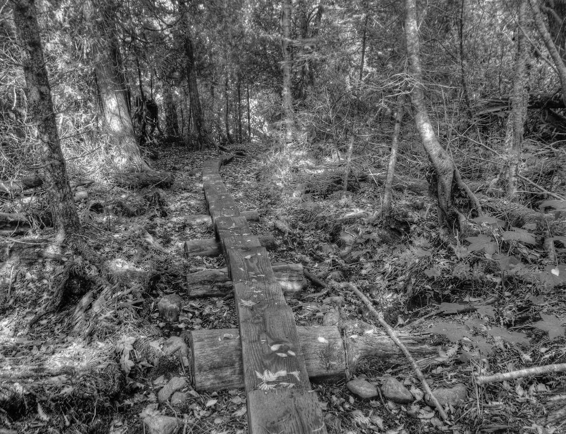 Noah Jigsaw Puzzle The George Rogers Clark National Historical Park in black white 1000 pieces