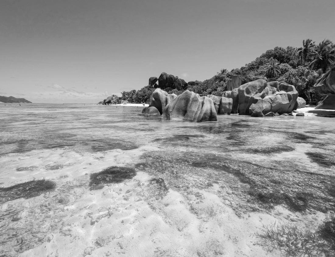 Noah Jigsaw Puzzle the sun-lit harbor of Lindau on Lake Constance and the historic Hotel Bayerischer Hof in the background in black white 1000 pieces