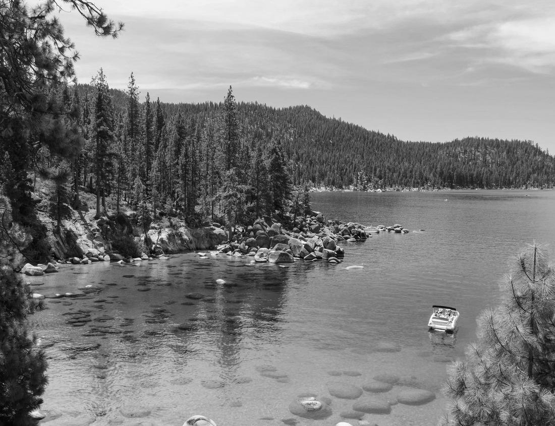 Noah Jigsaw Puzzle Daytime view of the Hospicio Cabanas in Guadalajara, Mexico in black white 1000 pieces