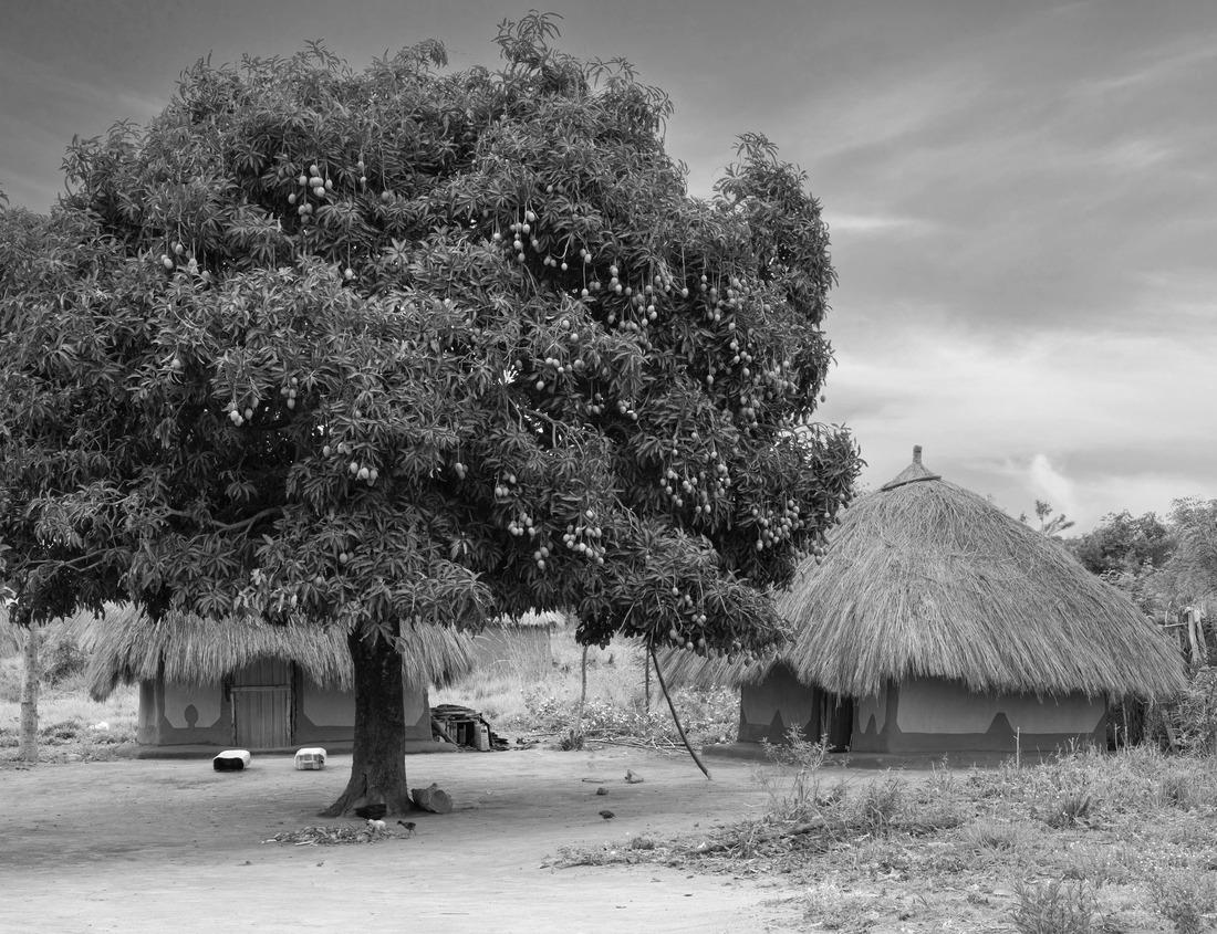 Noah Jigsaw Puzzle Beautiful landscape in the Philbrook Museum of Art at Tulsa, Oklahoma in black white 1000 pieces