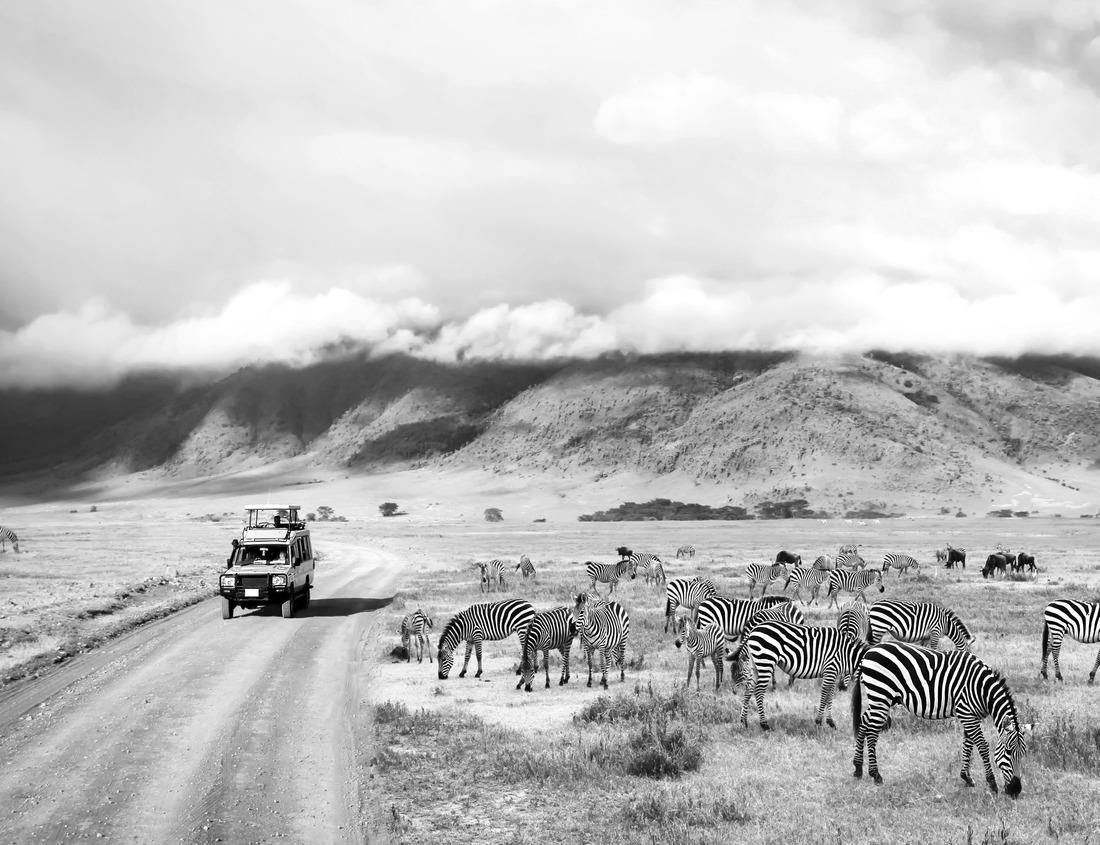 Noah Jigsaw Puzzle St. Mary Lake at Glacier National Park in Montana in black white 1000 pieces