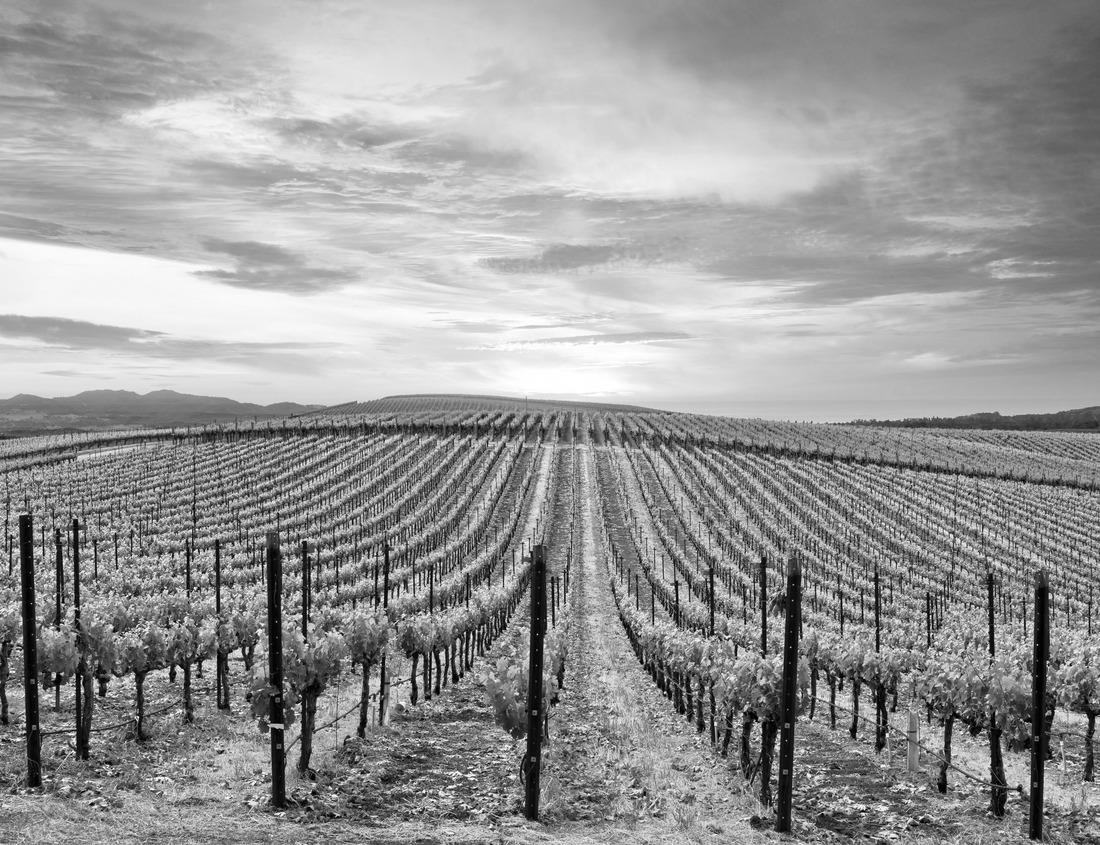 Noah Jigsaw Puzzle a lake in Rottneros, Sunne, Sweden in black white 1000 pieces