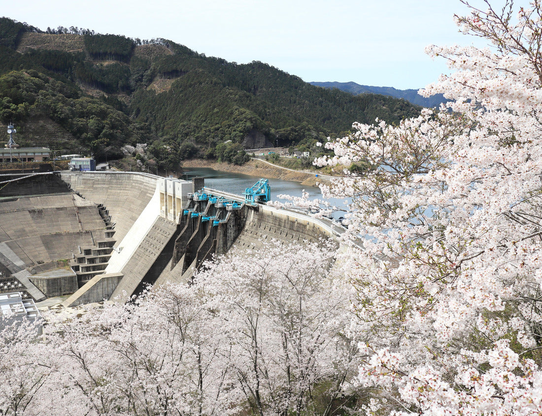The landscape of Tsuruta Dam in spring 1000pc Puzzle