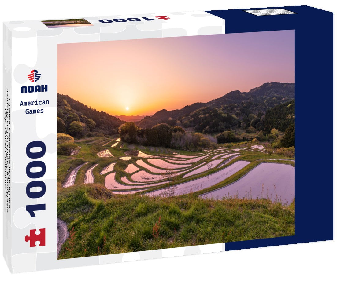 Oyama Senmaida lit up by the morning sun in spring, Kamogawa City, Chiba Prefecture 1000pc Puzzle