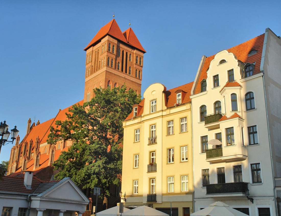 Noah Jigsaw Puzzle Church of the Holy Apostles James and Philip in Torun, Poland 1000 pieces
