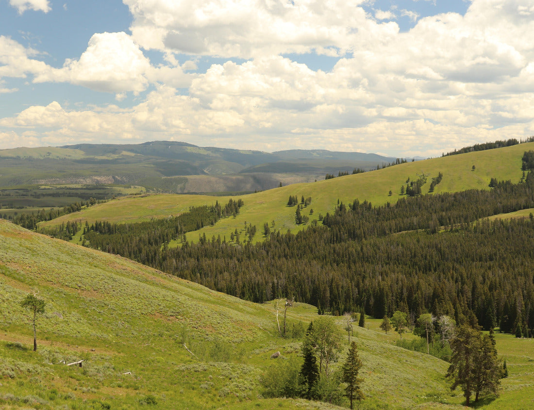 Noah Jigsaw Puzzle Mountainscape In Yellowstone National Park 1000 pieces